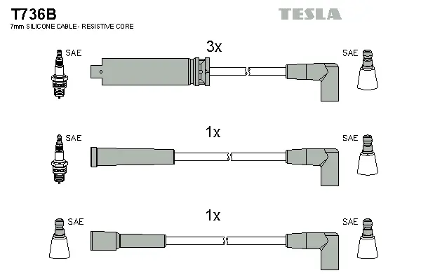 Ignition Cable Kit (T736B)