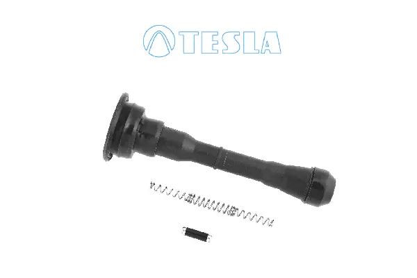Plug, spark plug (CP094)