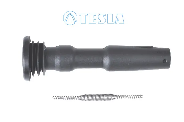 Plug, spark plug (CP074)