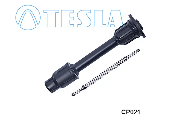 Plug, spark plug (CP021)