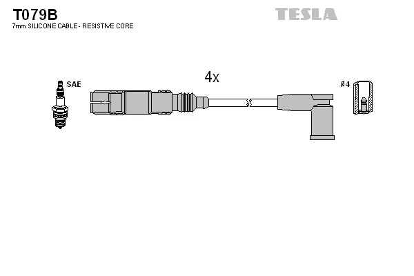 Ignition Cable Kit (T079B)