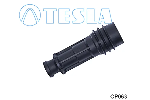 Plug, spark plug (CP063)