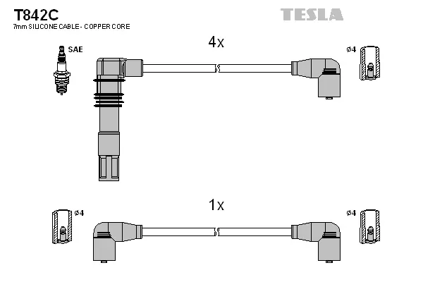 Ignition Cable Kit (T842C)