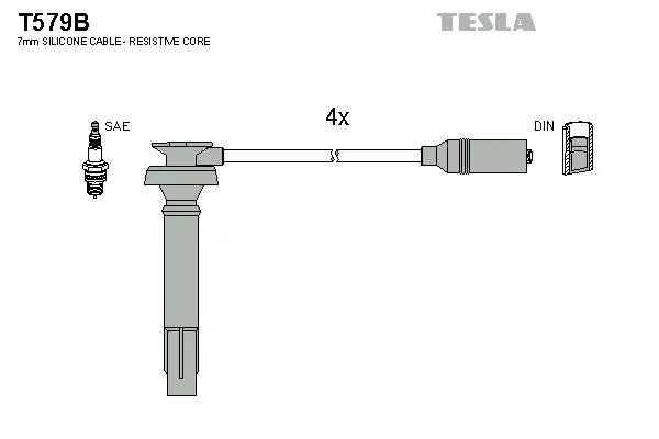 Ignition Cable Kit (T579B)