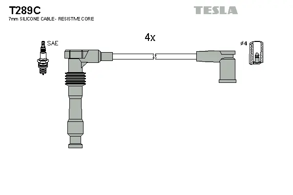 Ignition Cable Kit (T289C)