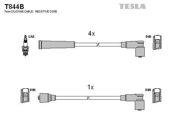 Ignition Cable Kit (T844B)