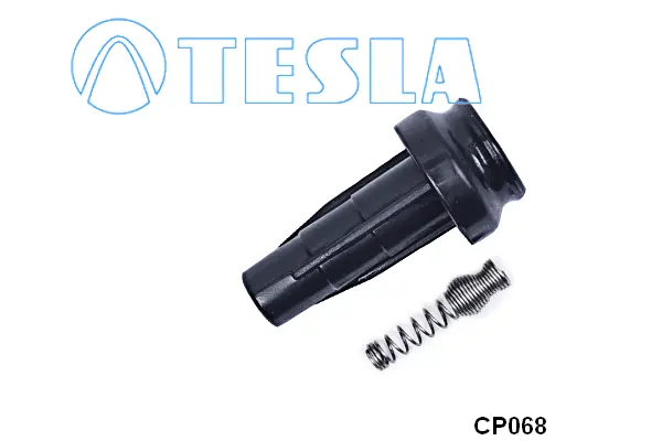 Plug, spark plug (CP068)