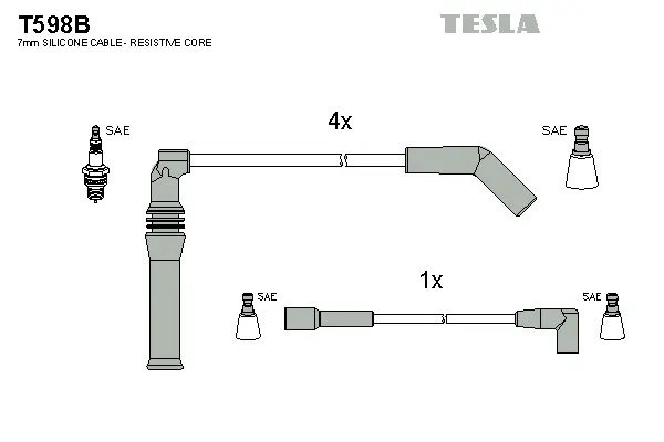 Ignition Cable Kit (T598B)