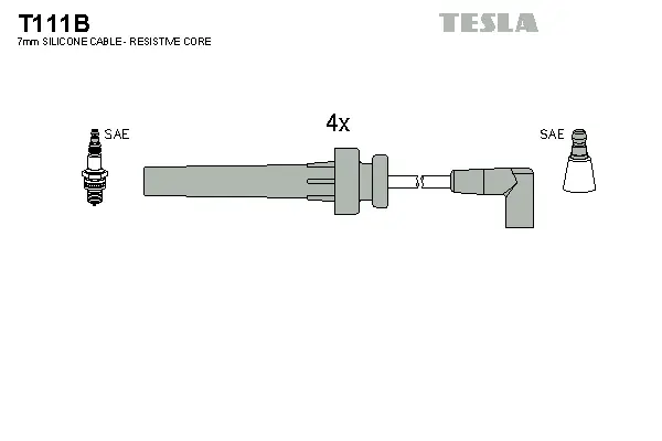Ignition Cable Kit (T111B)