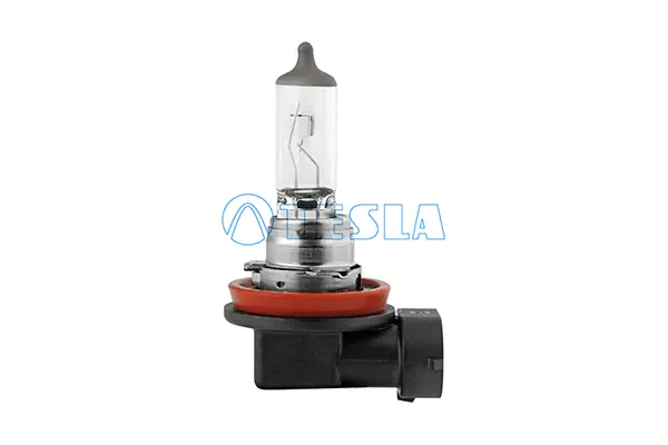 Bulb, headlight (B10801)