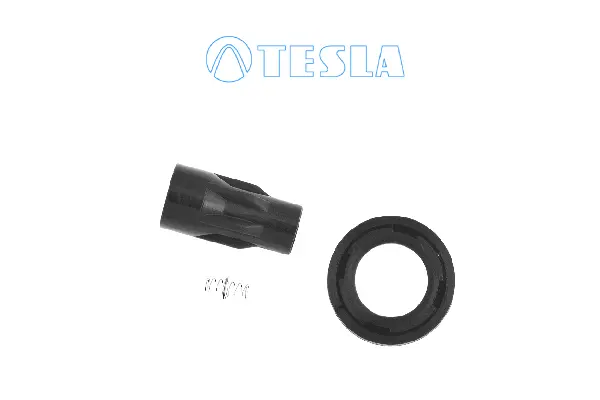 Plug, spark plug (CP095)