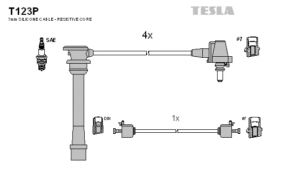 Ignition Cable Kit (T123P)