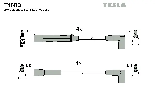 Ignition Cable Kit (T168B)