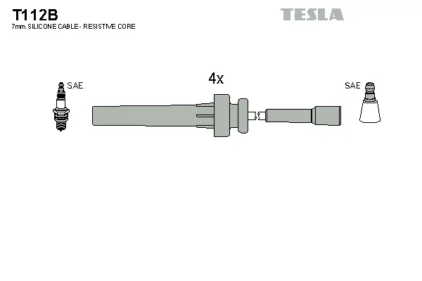 Ignition Cable Kit (T112B)