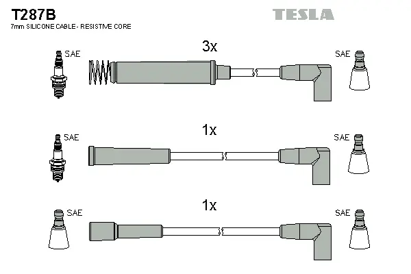 Ignition Cable Kit (T287B)