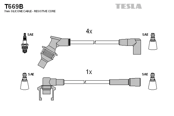Ignition Cable Kit (T669B)