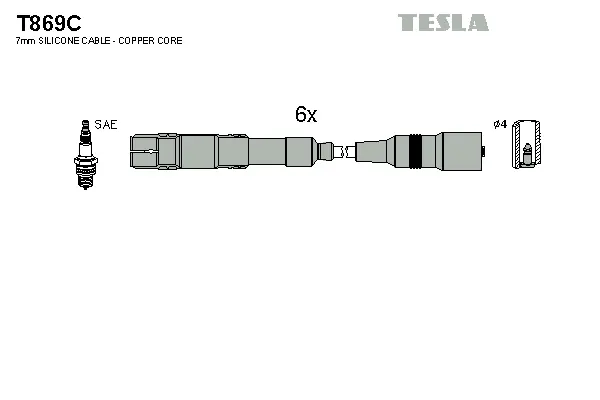 Ignition Cable Kit (T869C)