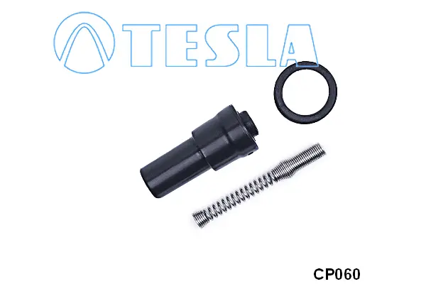 Plug, spark plug (CP060)