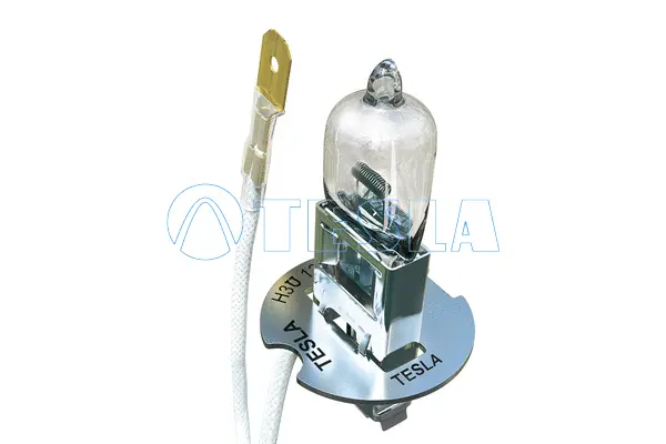 Bulb, spotlight (B10301)