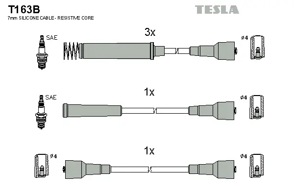 Ignition Cable Kit (T163B)