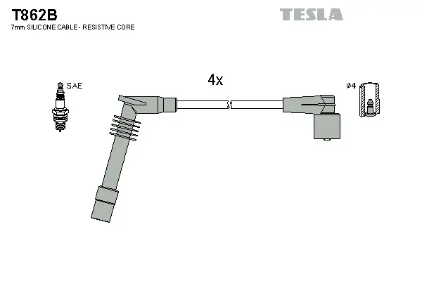 Ignition Cable Kit (T862B)