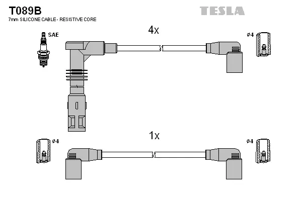 Ignition Cable Kit (T089B)
