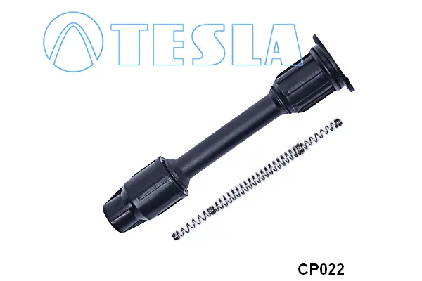 Plug, spark plug (CP022)