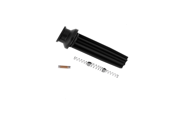Plug, spark plug (CP100)