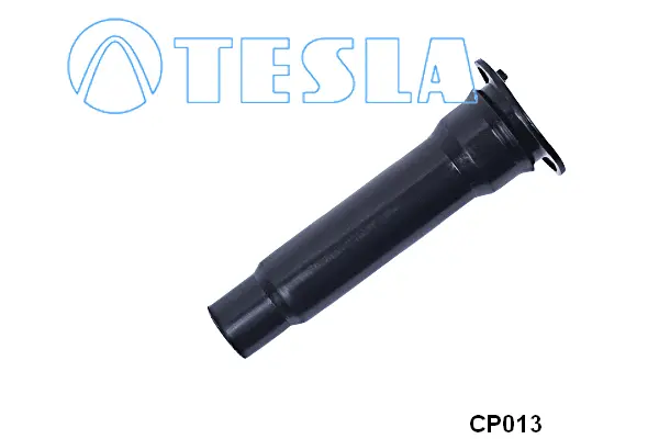 Plug, spark plug (CP013)