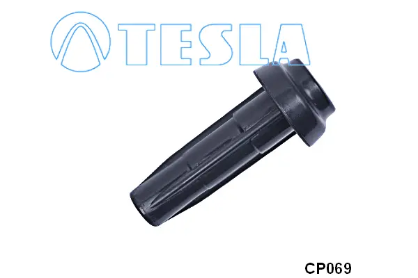 Plug, spark plug (CP069)