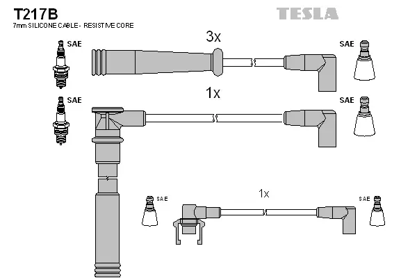 Ignition Cable Kit (T217B)