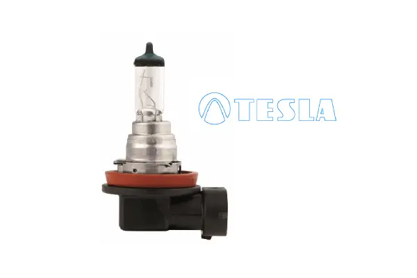 Bulb, front fog light (B11601)