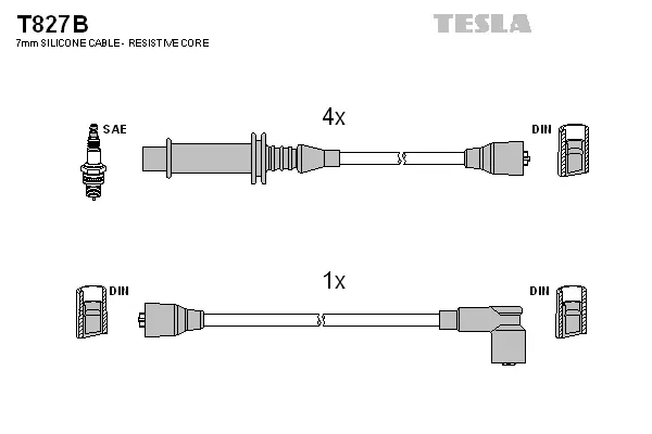 Ignition Cable Kit (T827B)