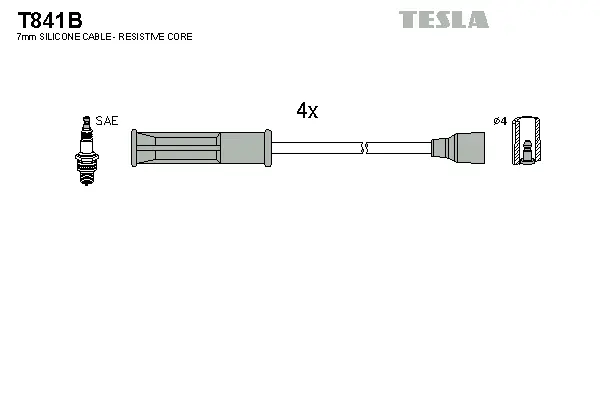Ignition Cable Kit (T841B)