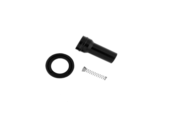 Plug, spark plug (CP110)