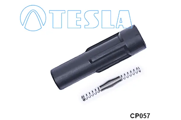 Plug, spark plug (CP057)