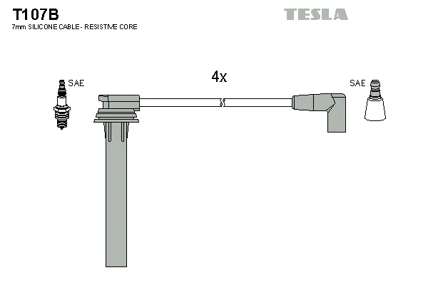 Ignition Cable Kit (T107B)
