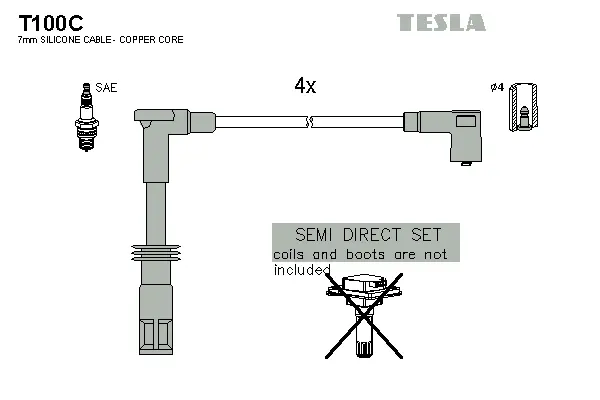Ignition Cable Kit (T100C)