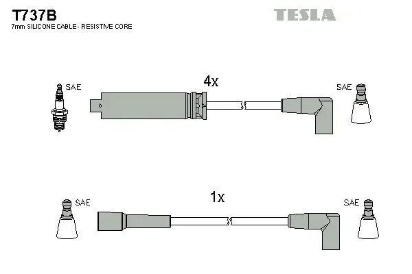 Ignition Cable Kit (T737B)