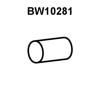 Exhaust Pipe (BW10281)