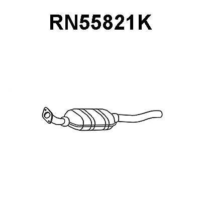 Catalytic Converter (RN55821K)
