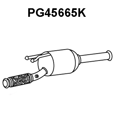 Catalytic Converter (PG45665K)