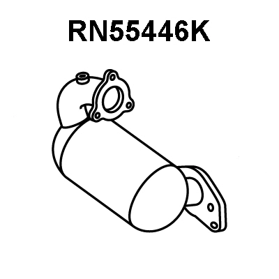 Catalytic Converter (RN55446K)