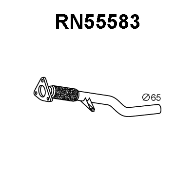 Exhaust Pipe (RN55583)