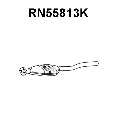 Catalytic Converter (RN55813K)