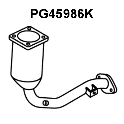 Catalytic Converter (PG45986K)