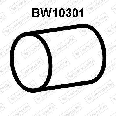 Exhaust Pipe (BW10301)