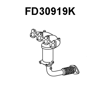 Manifold Catalytic Converter (FD30919K)