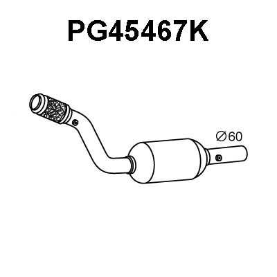 Catalytic Converter (PG45467K)