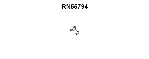 Exhaust Pipe (RN55794)
